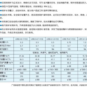 LSS立式水管全自動(dòng)燃?xì)猓ㄓ停┱羝仩t
