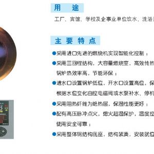 LHS-G立式燃?xì)猓ㄓ停╅_水鍋爐